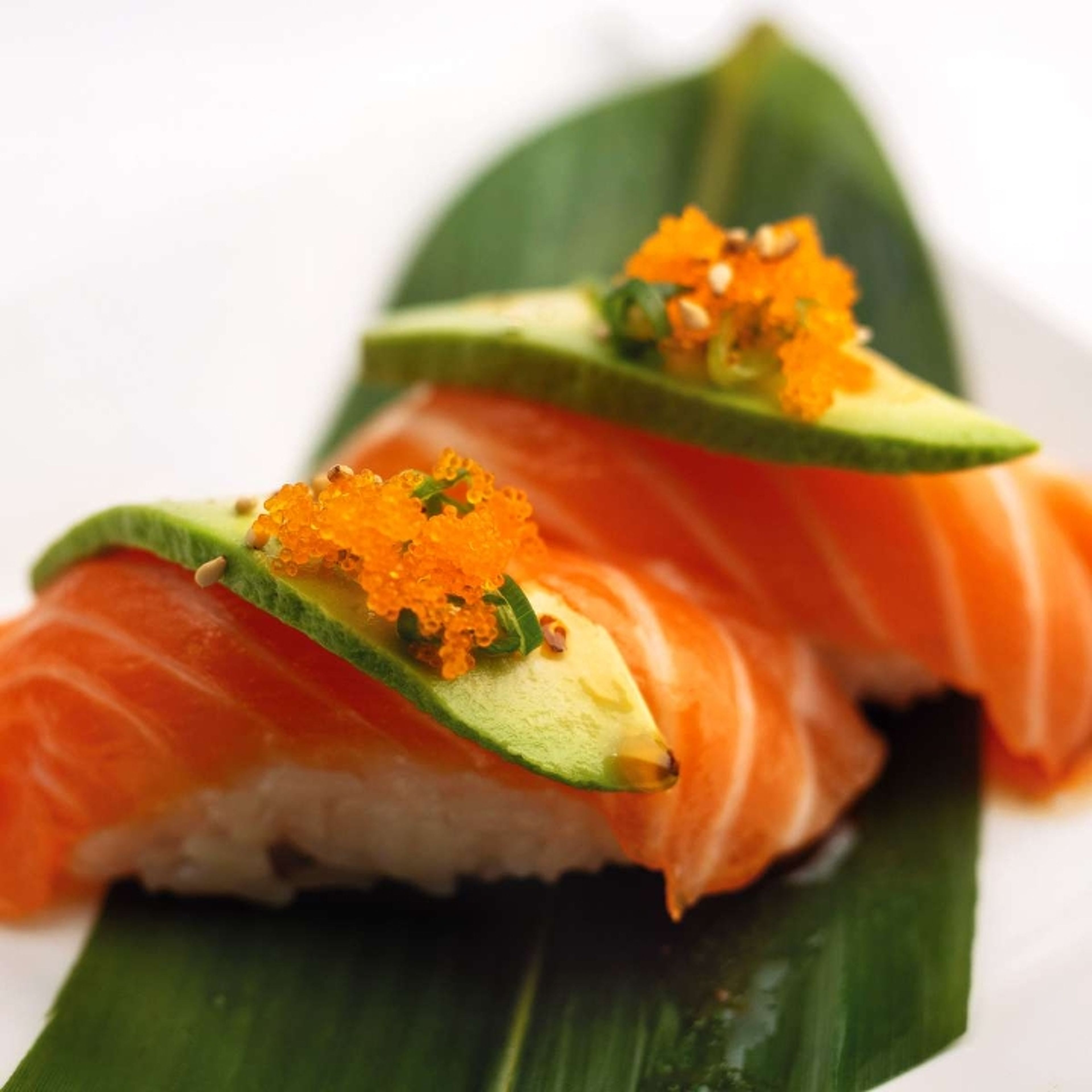 Dress me up! Salmon.