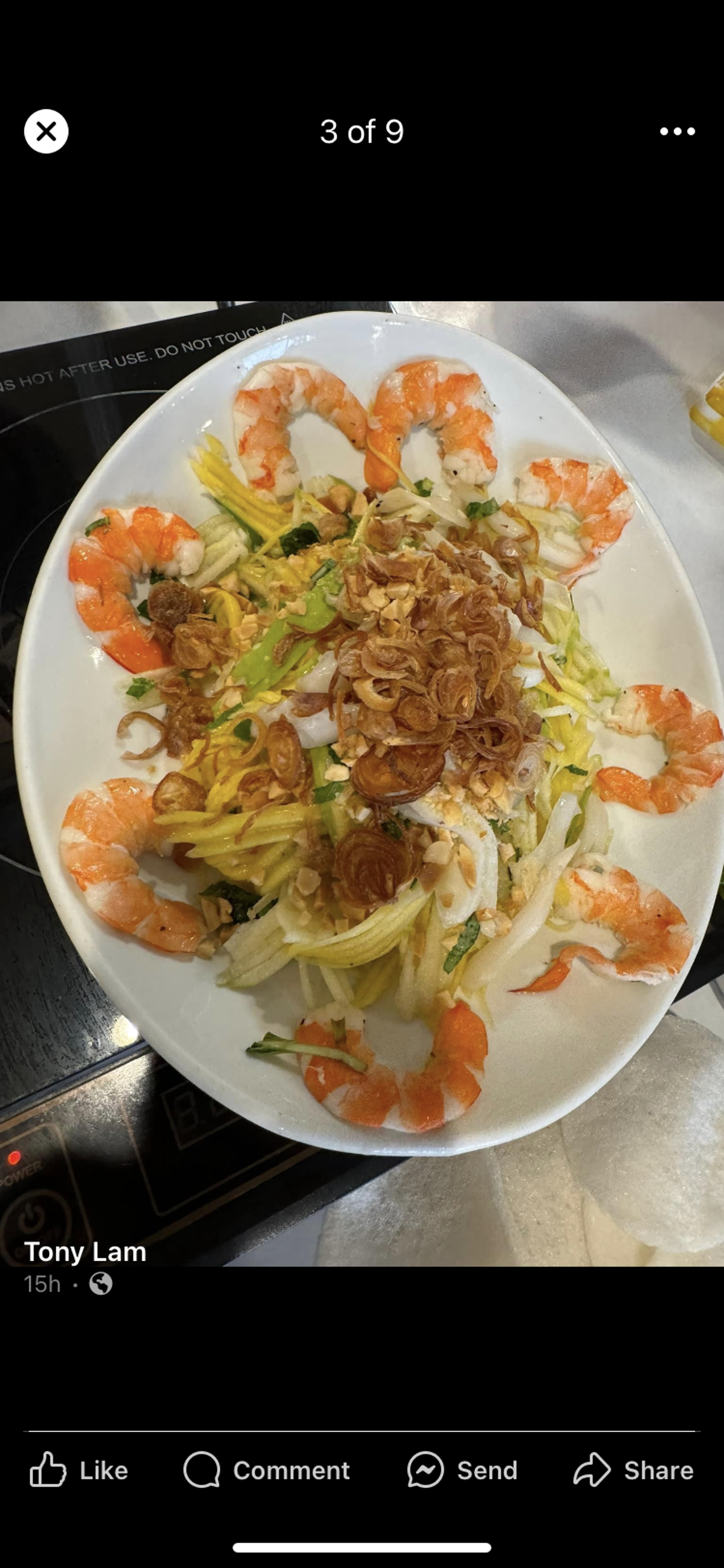 A7 -grilled pork spring roll -goi cuon thit nuong.