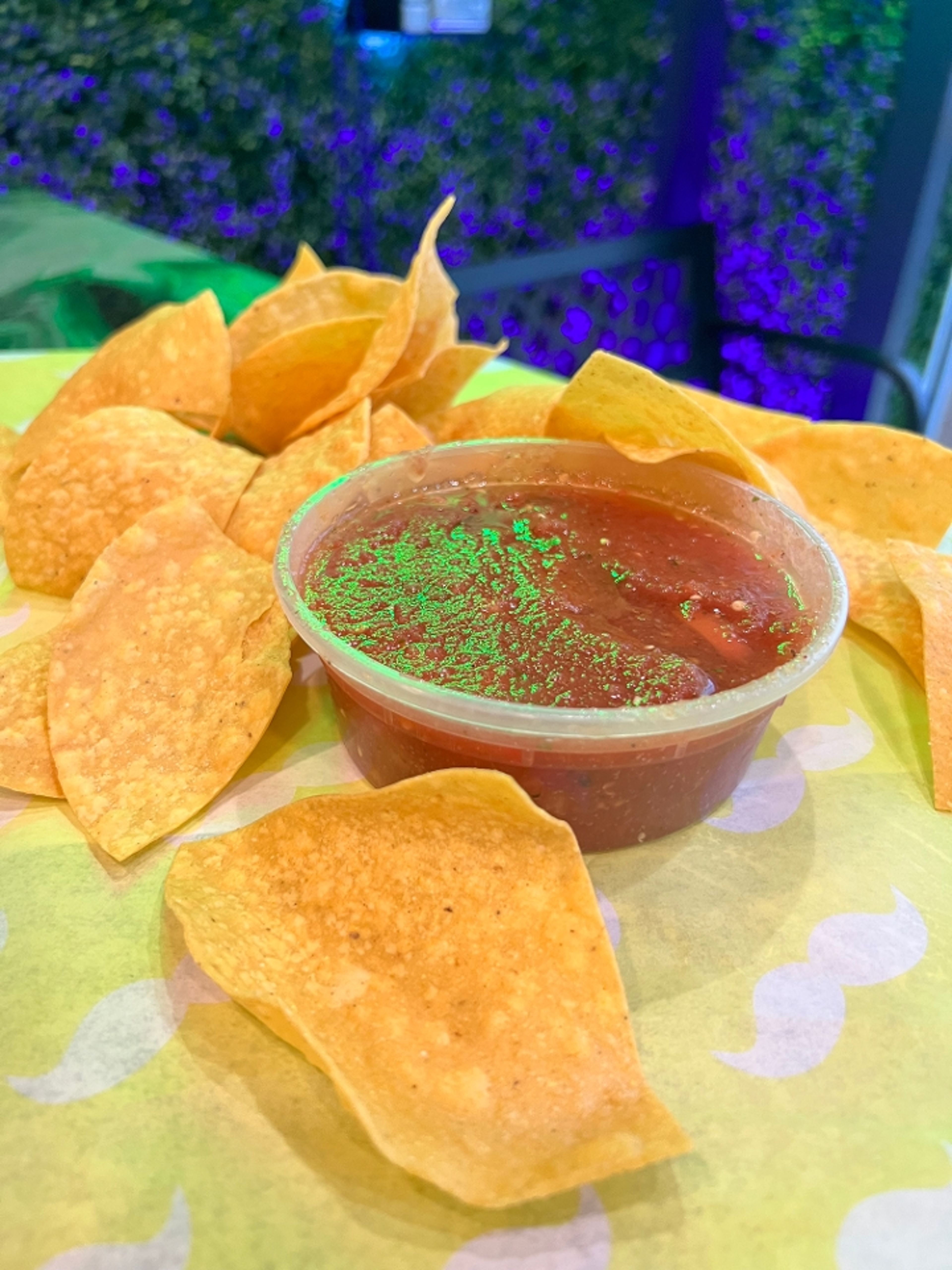 Homemade Salsa & Chips.
