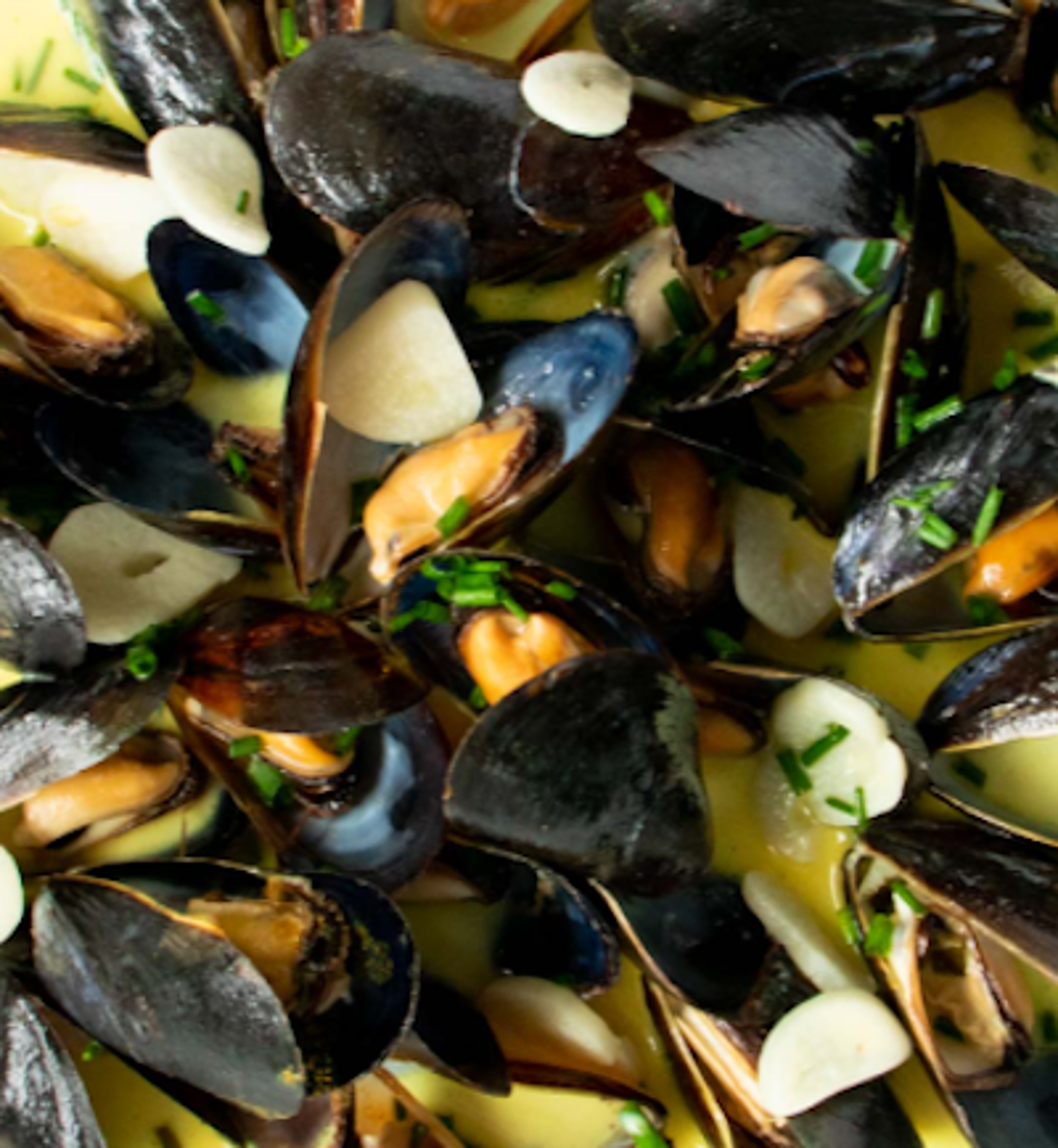 Mussels Marinara.