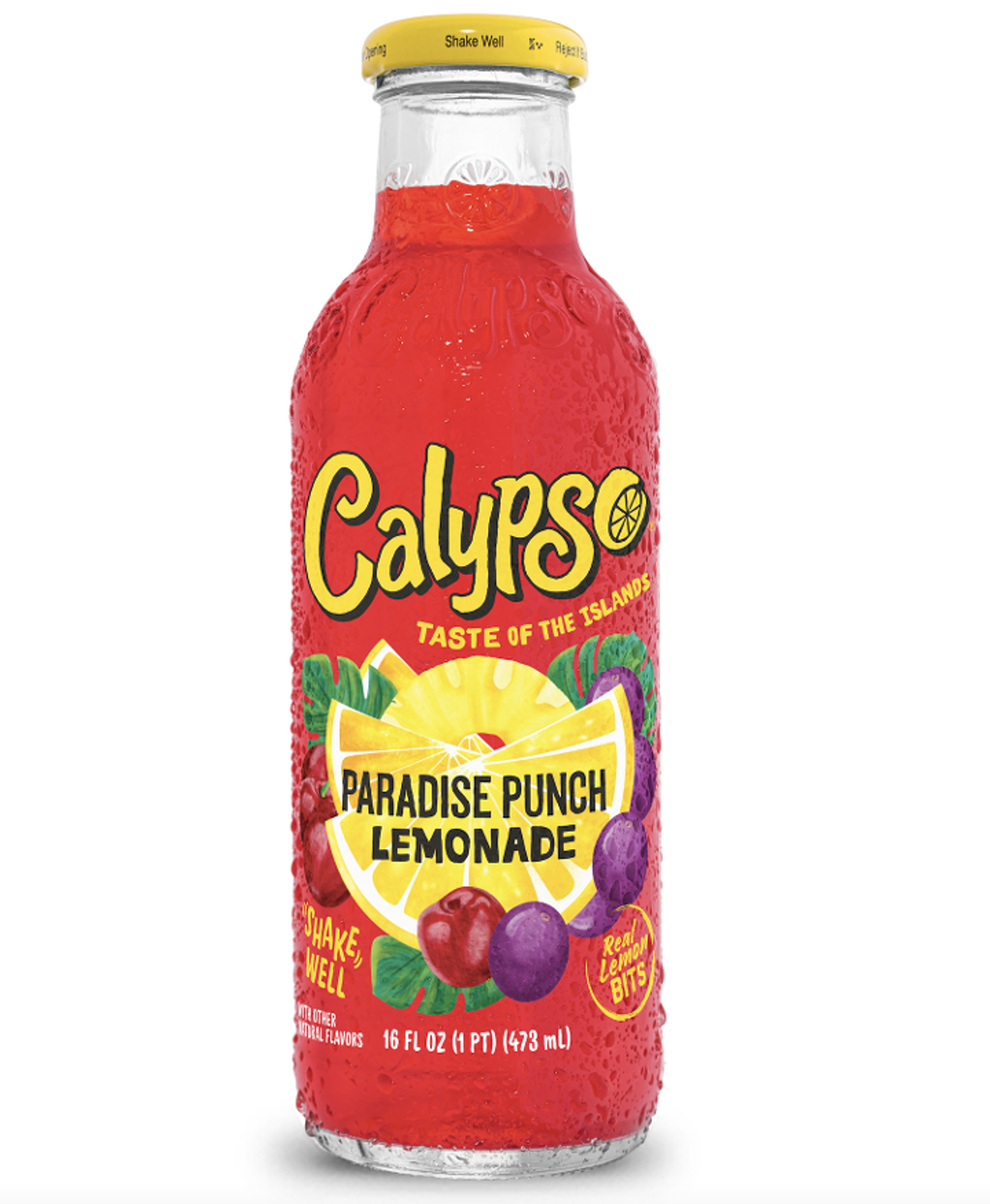 Calypso - Paradise Punch Lemonade [16oz].