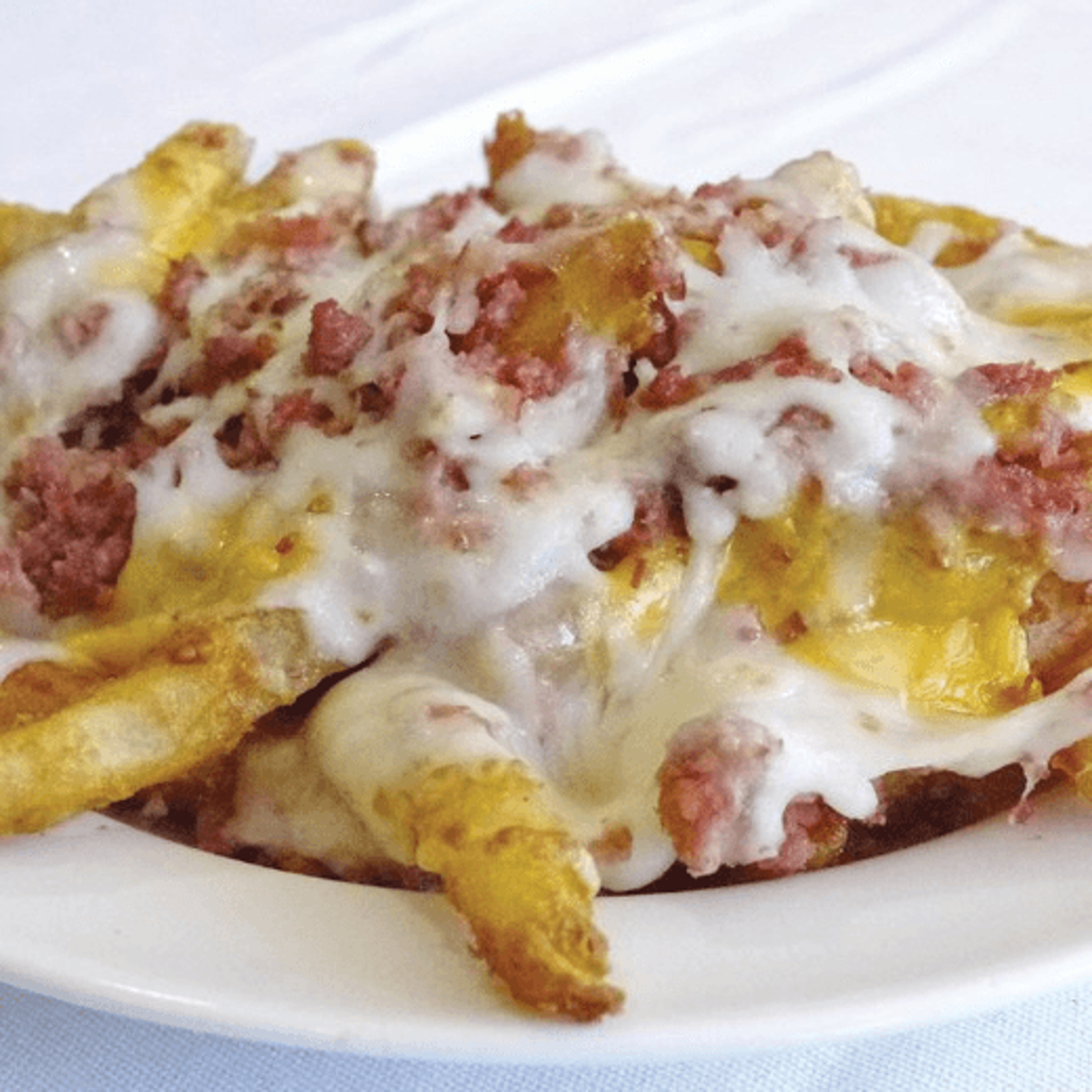 Loaded Bacon Cheese Fries.