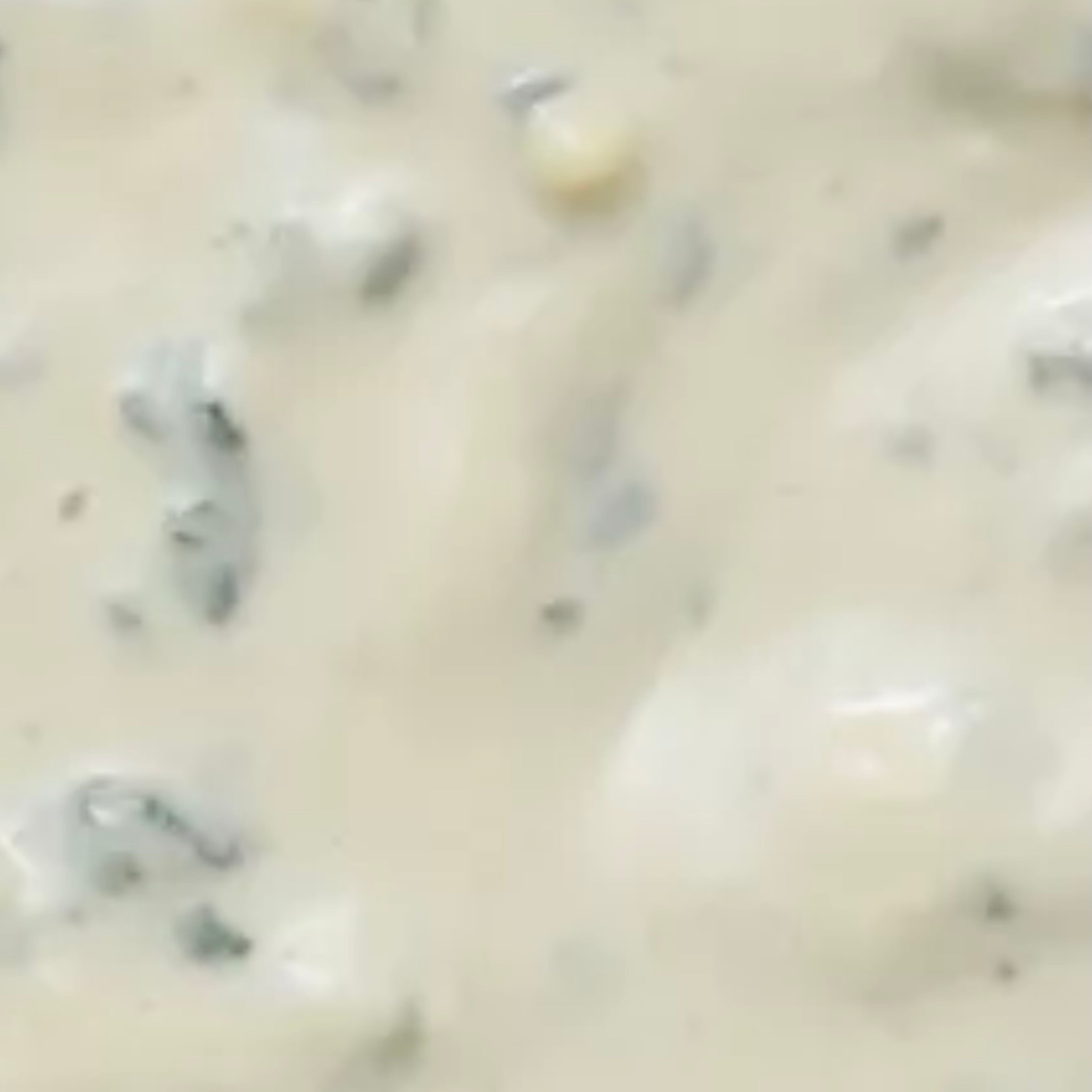 Blue cheese Sauce Cup.