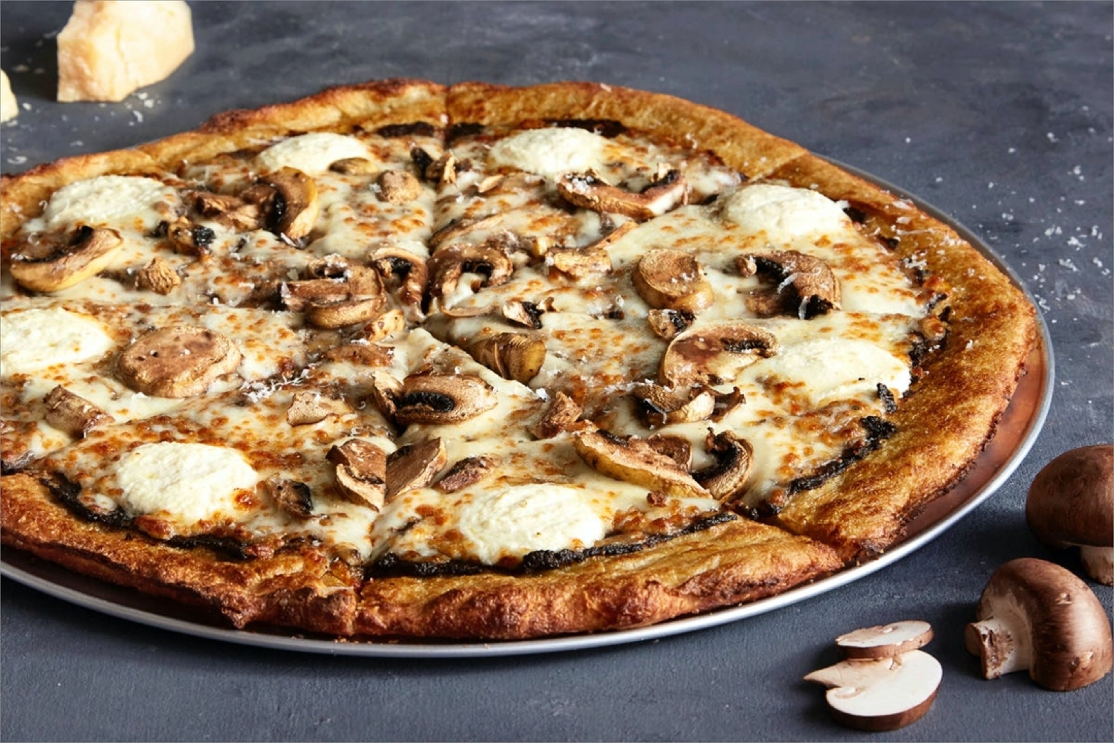 Muffled Trushroom (Large).