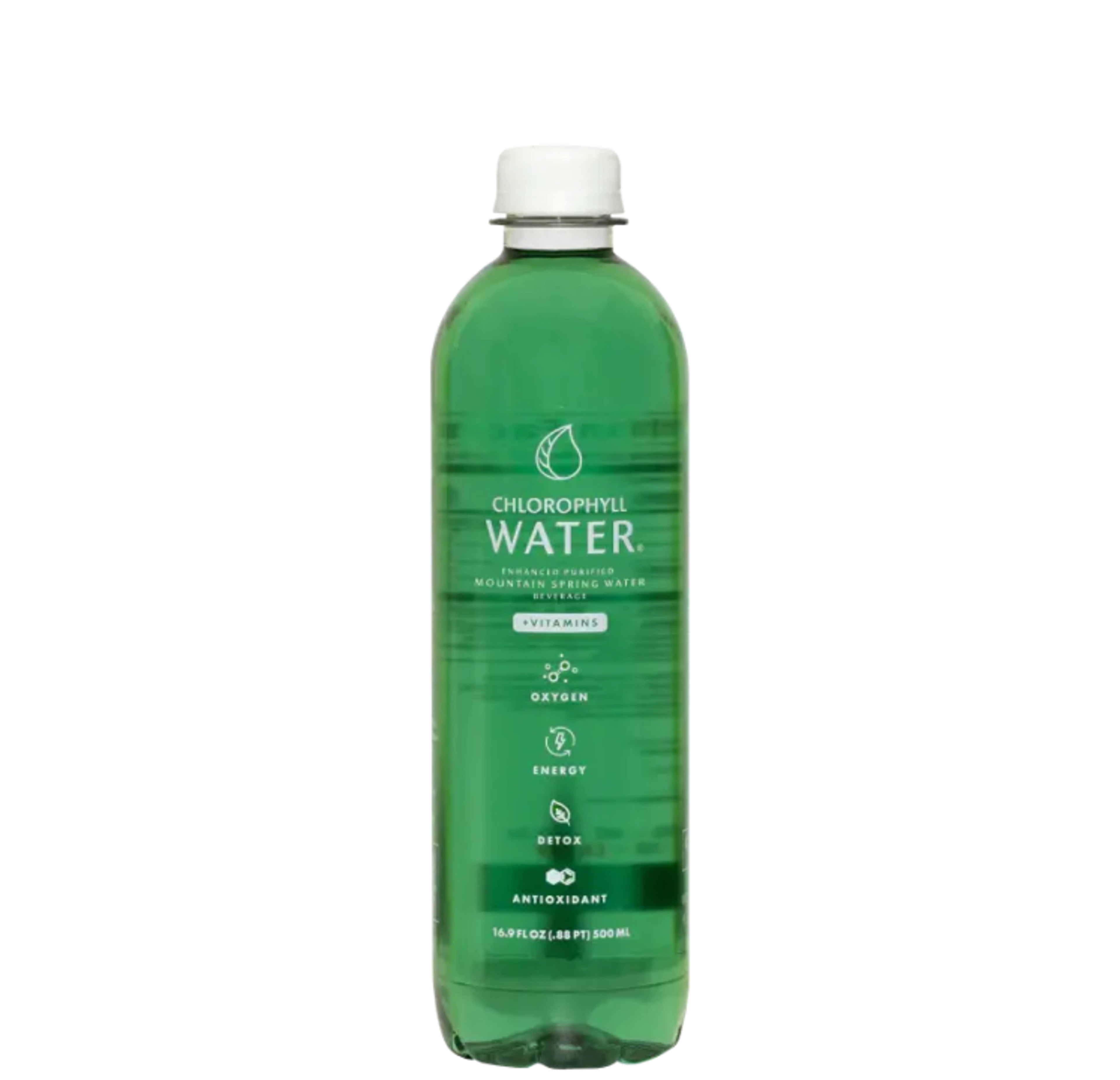 Chlorophyll Water.