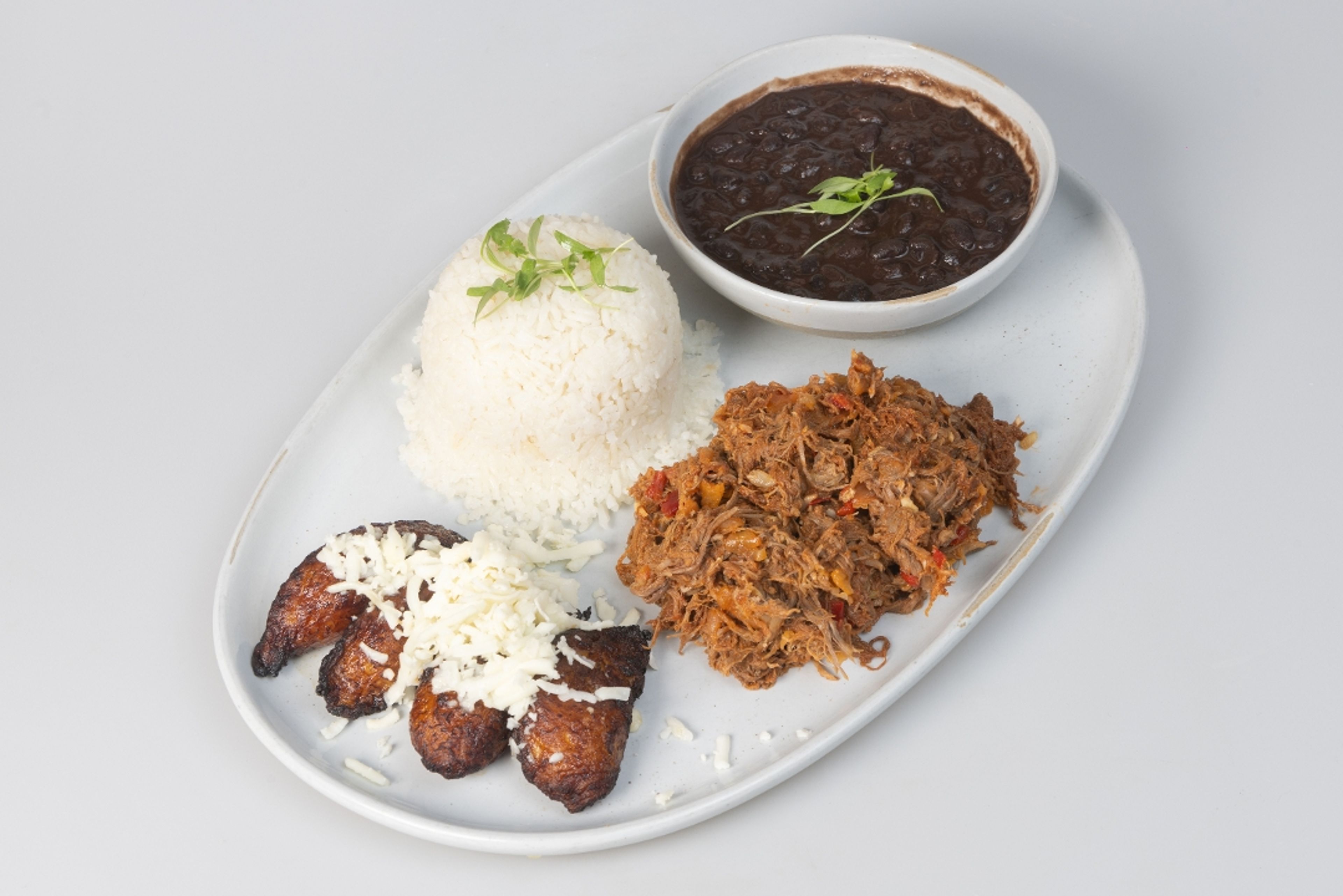 Pabellon Criollo Venezolano.