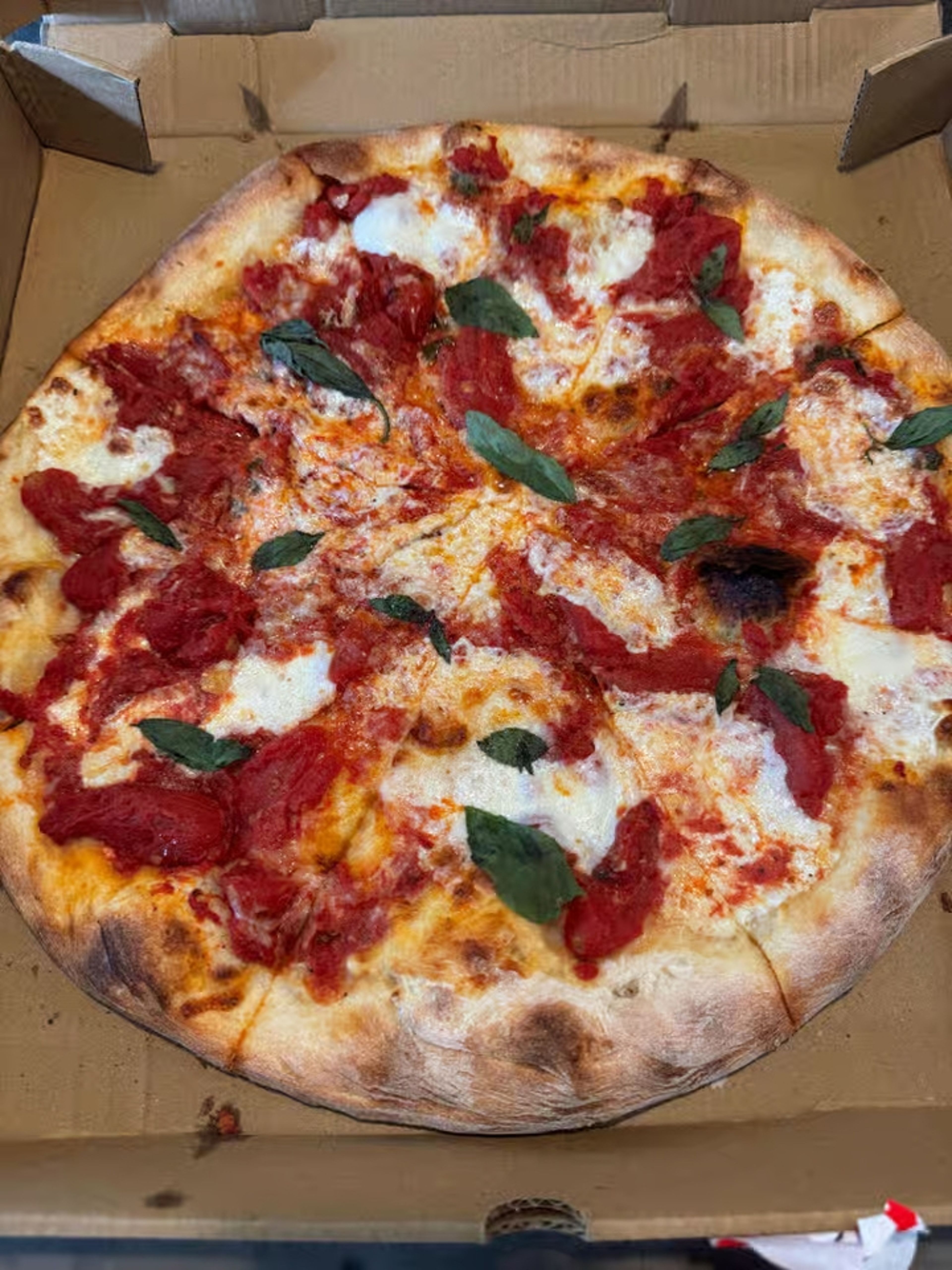 16 Margherita.