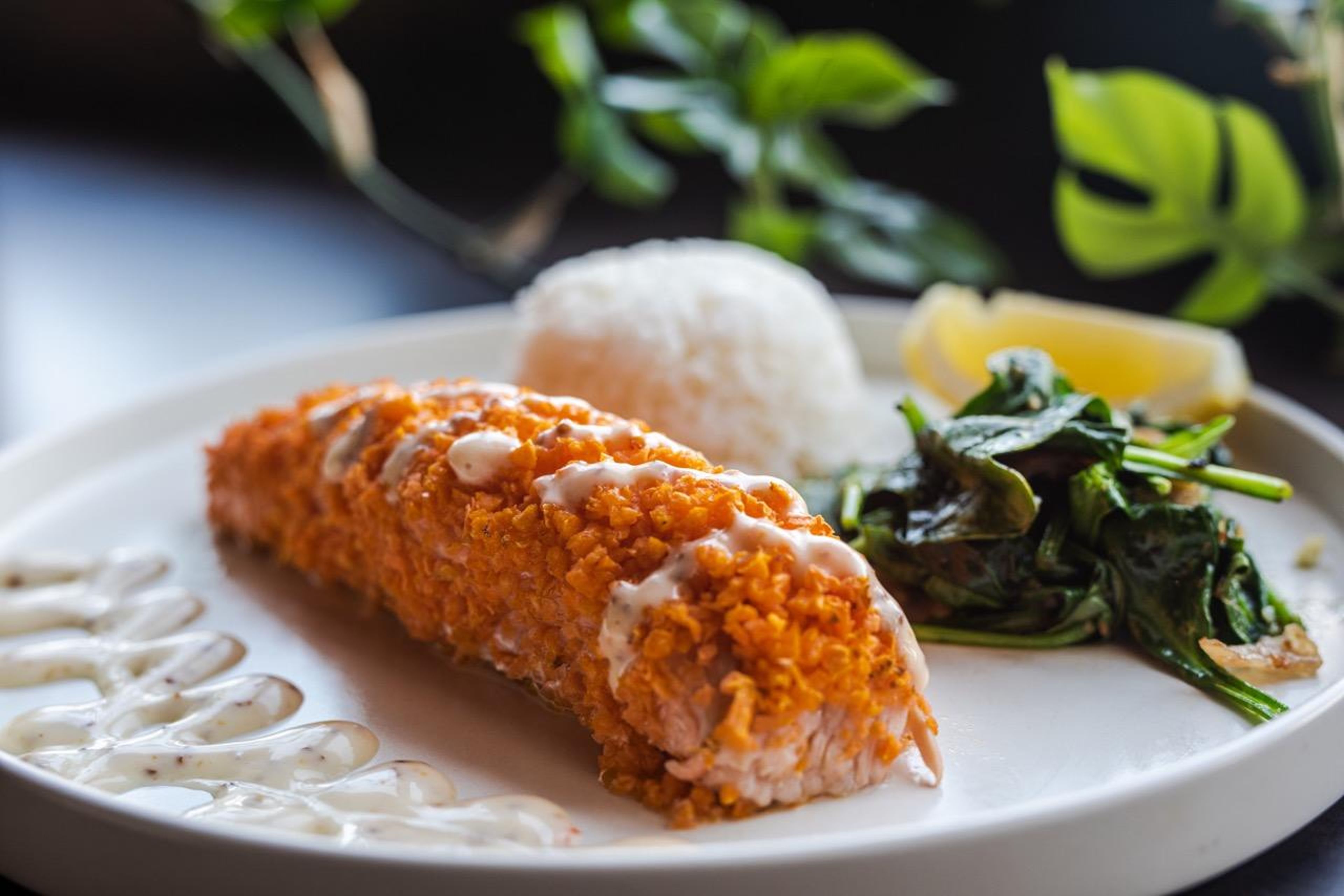 Sweet Potato Crusted Salmon.