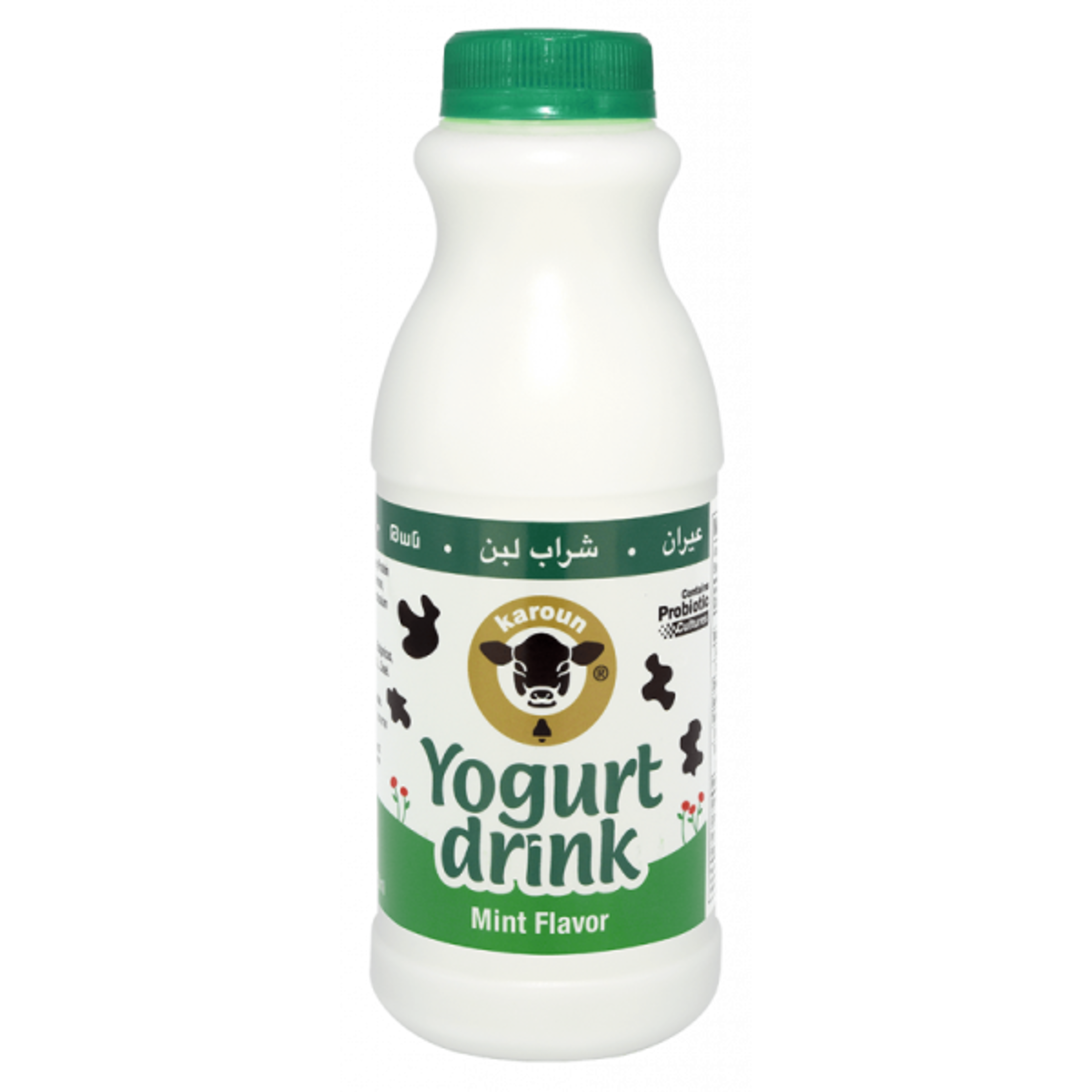 Ayran Yogurt Drink (Mint Flavor).