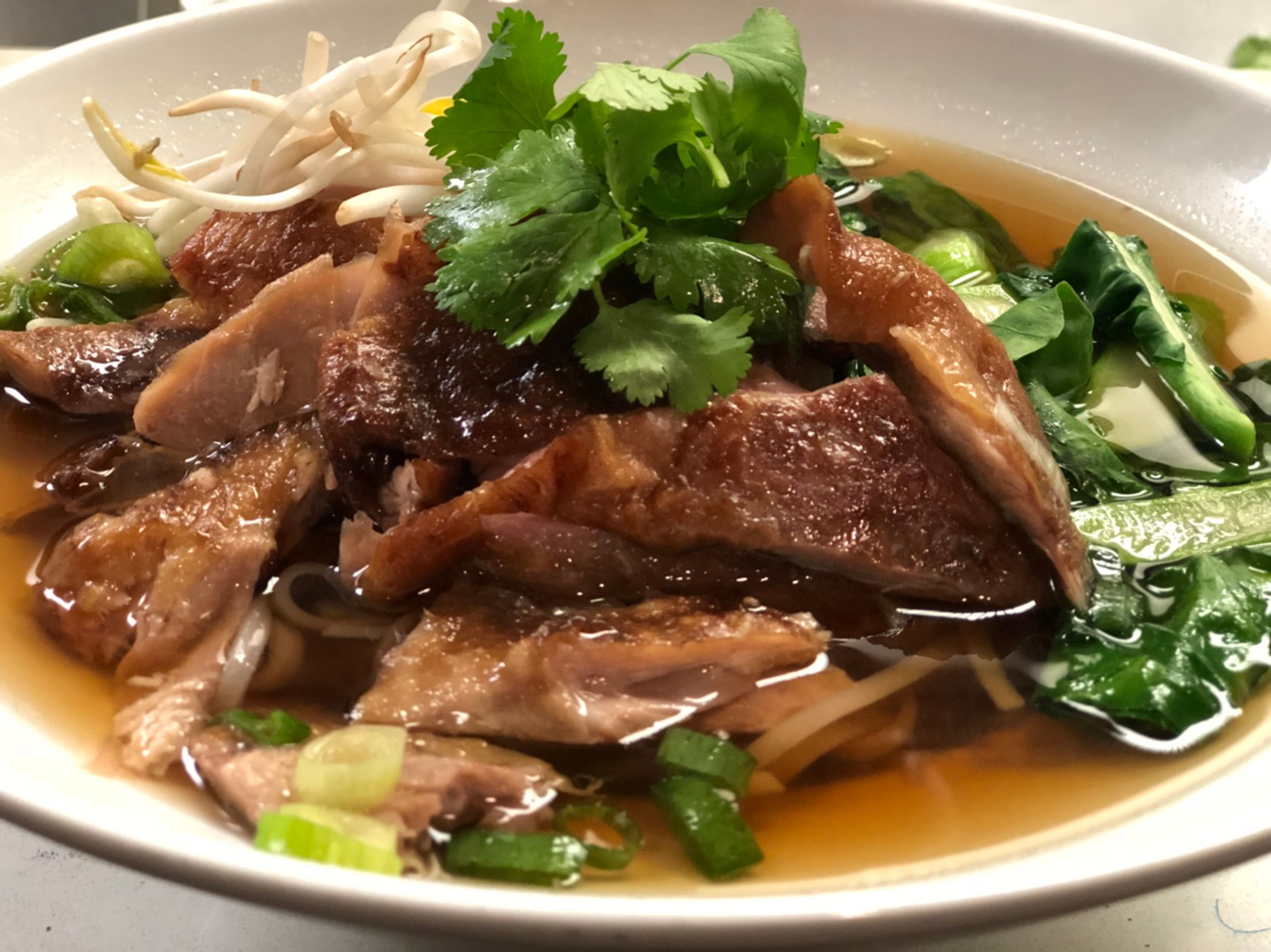 Duck Noodle Soup.