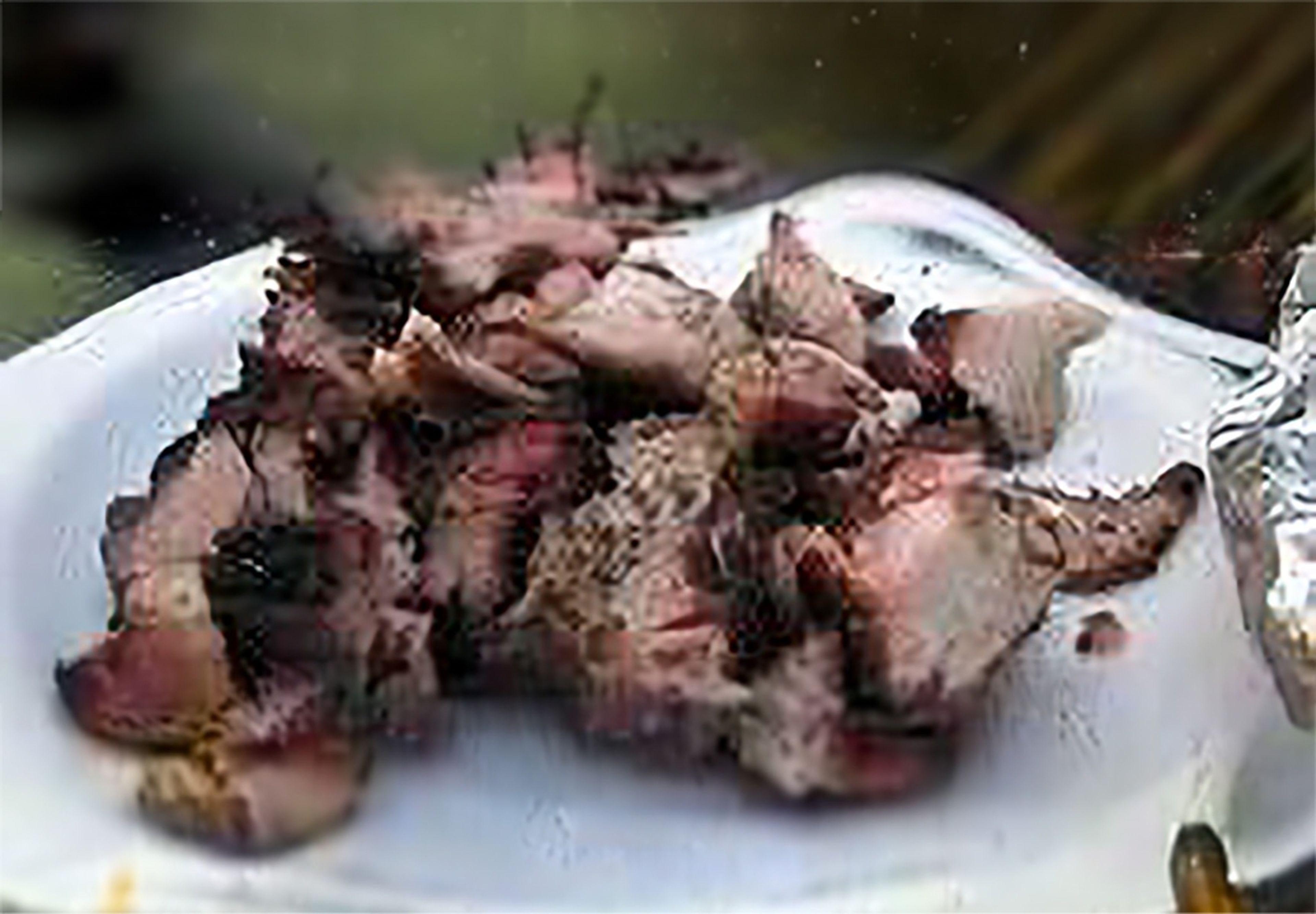 Jerk Pork (Fri, Sat, Sun only).