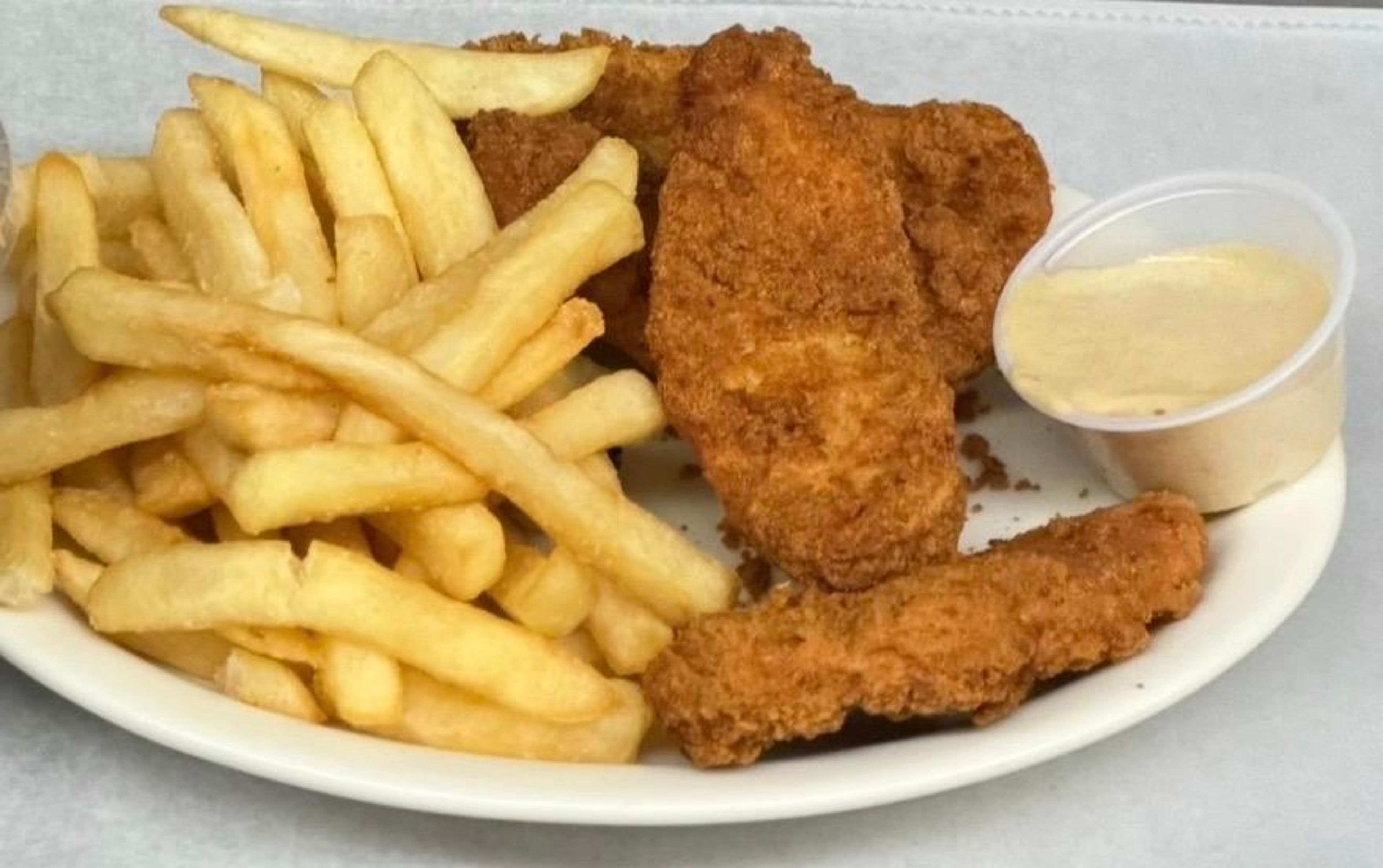 Chicken Tenders w/Fries App.