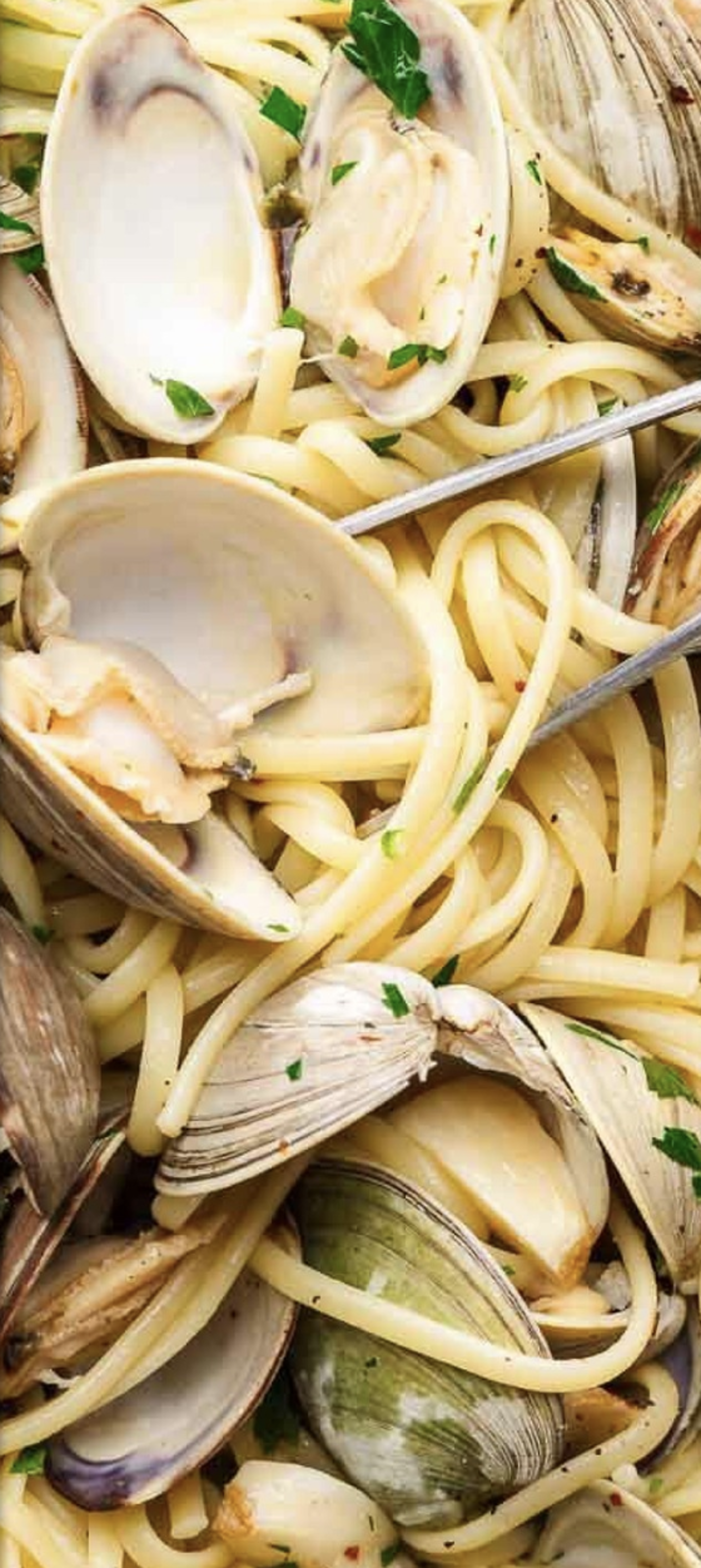 Linguine Alle Vongole (Clams).
