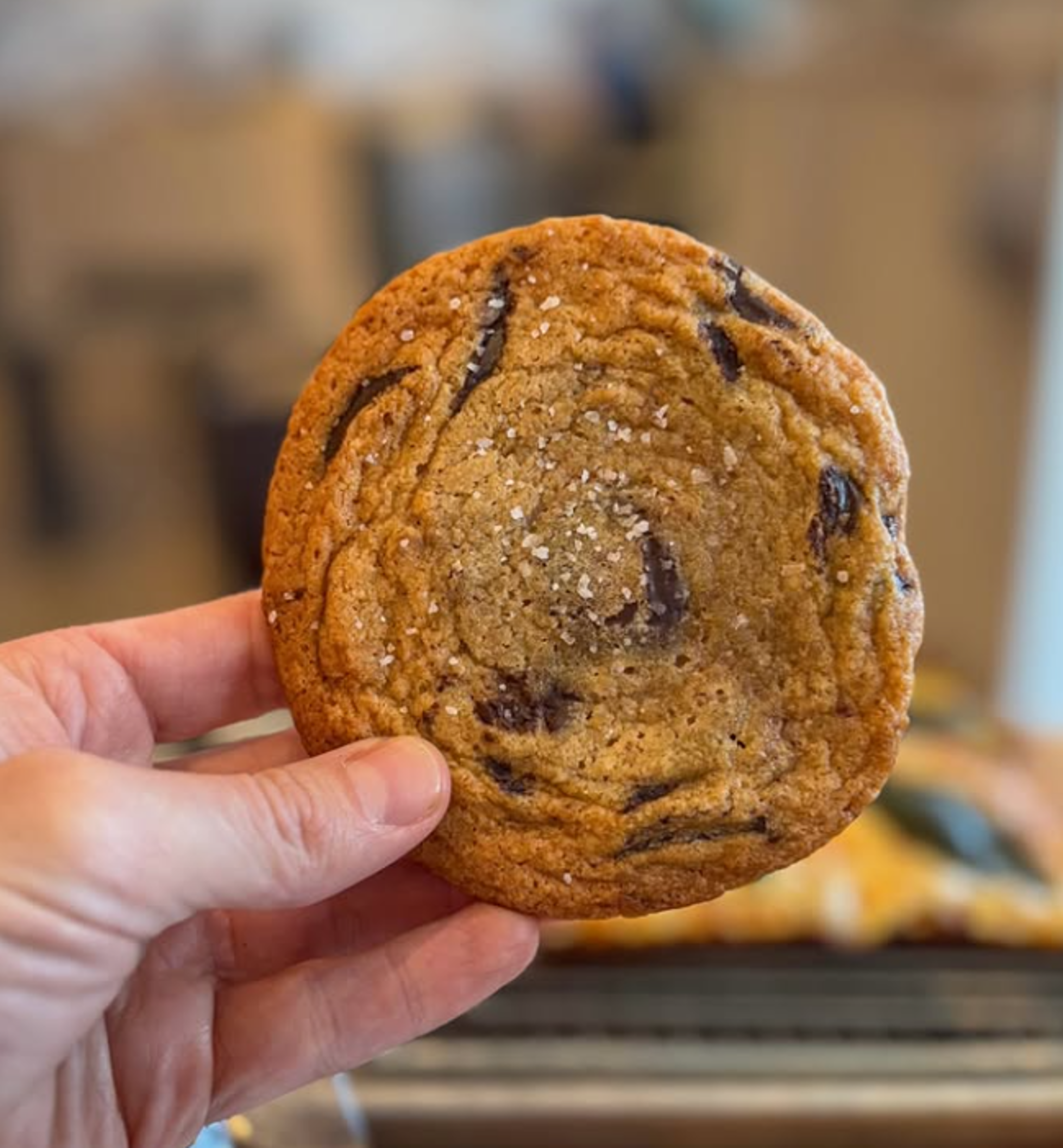 Chocolate Chip Cookie.