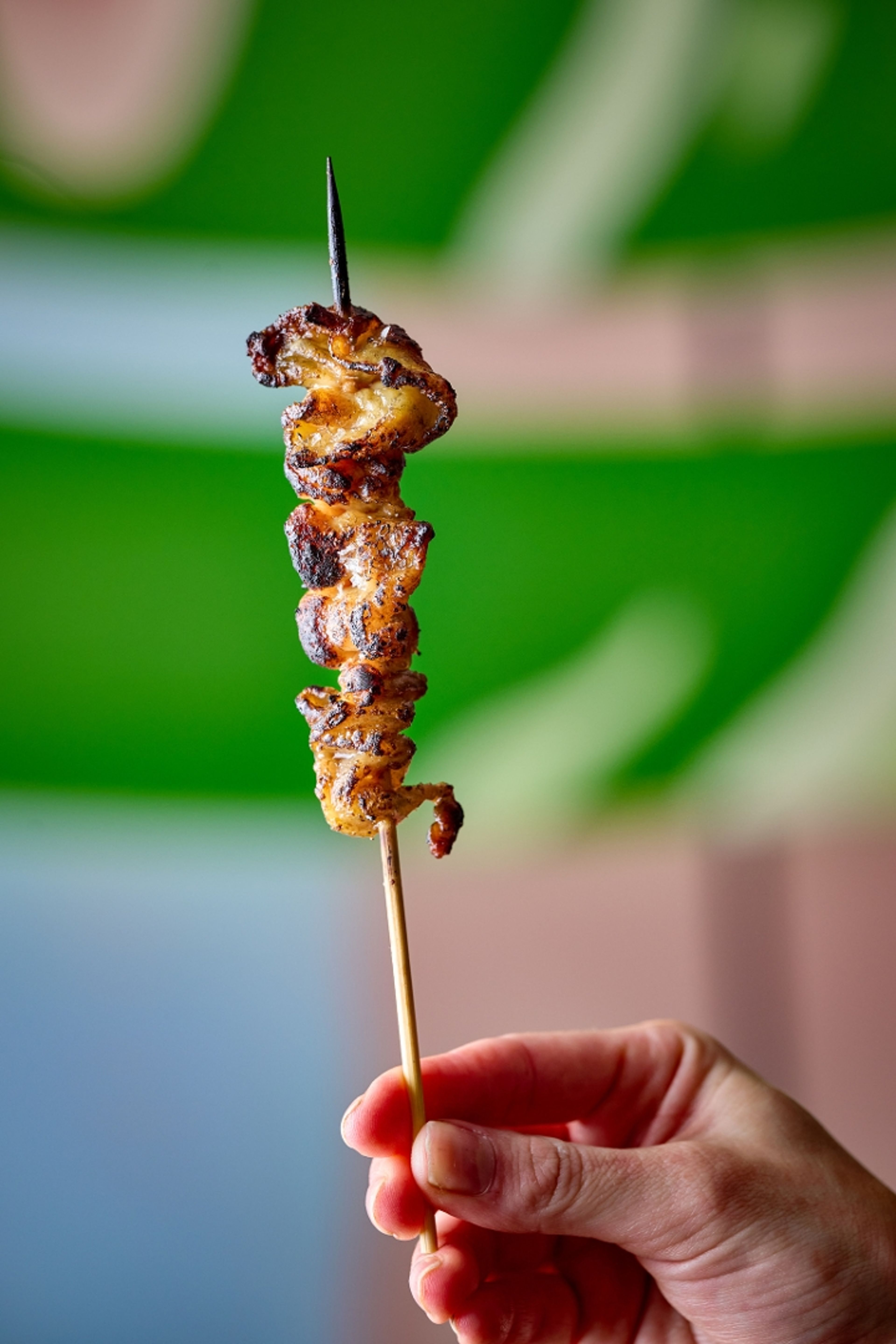 Chicken Skin Yakitori.