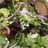 House Salad