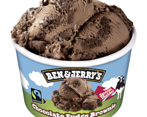 B&J Fudge Brownie