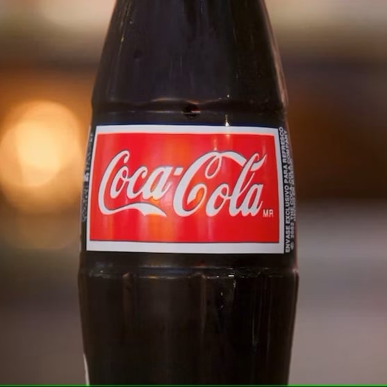 Coke Bottle (20oz/591ml)
