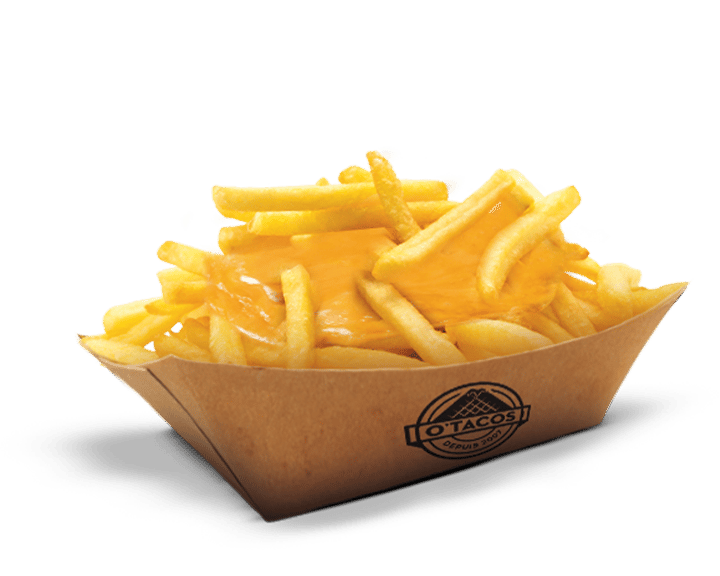 Frites sauce cheddar