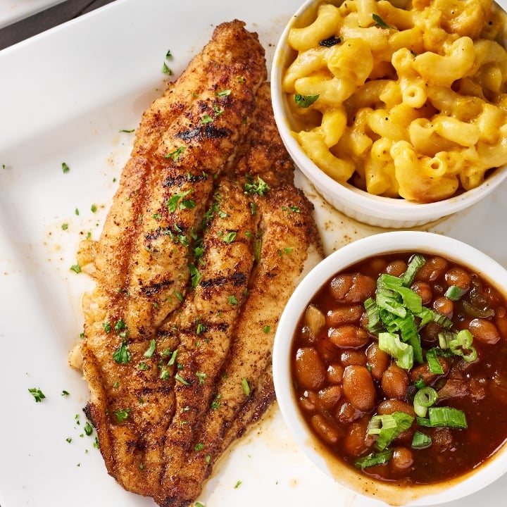 Delicious Catfish Dishes to Try Today