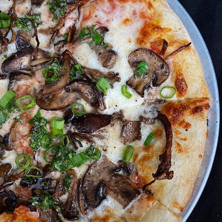 16" House Mushroom