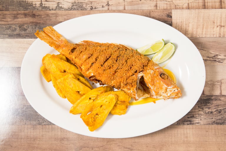 Takeout Delights: Latin-American, Spanish, and More