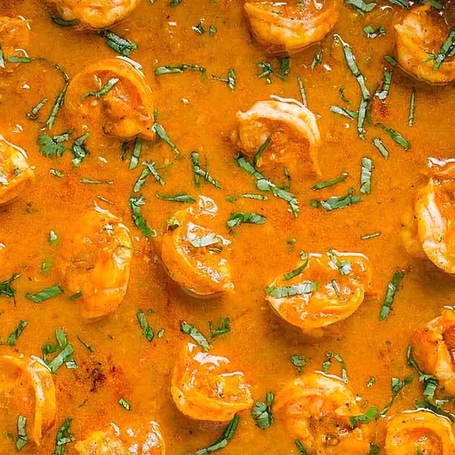 Delicious Indian Curry Dishes to Try