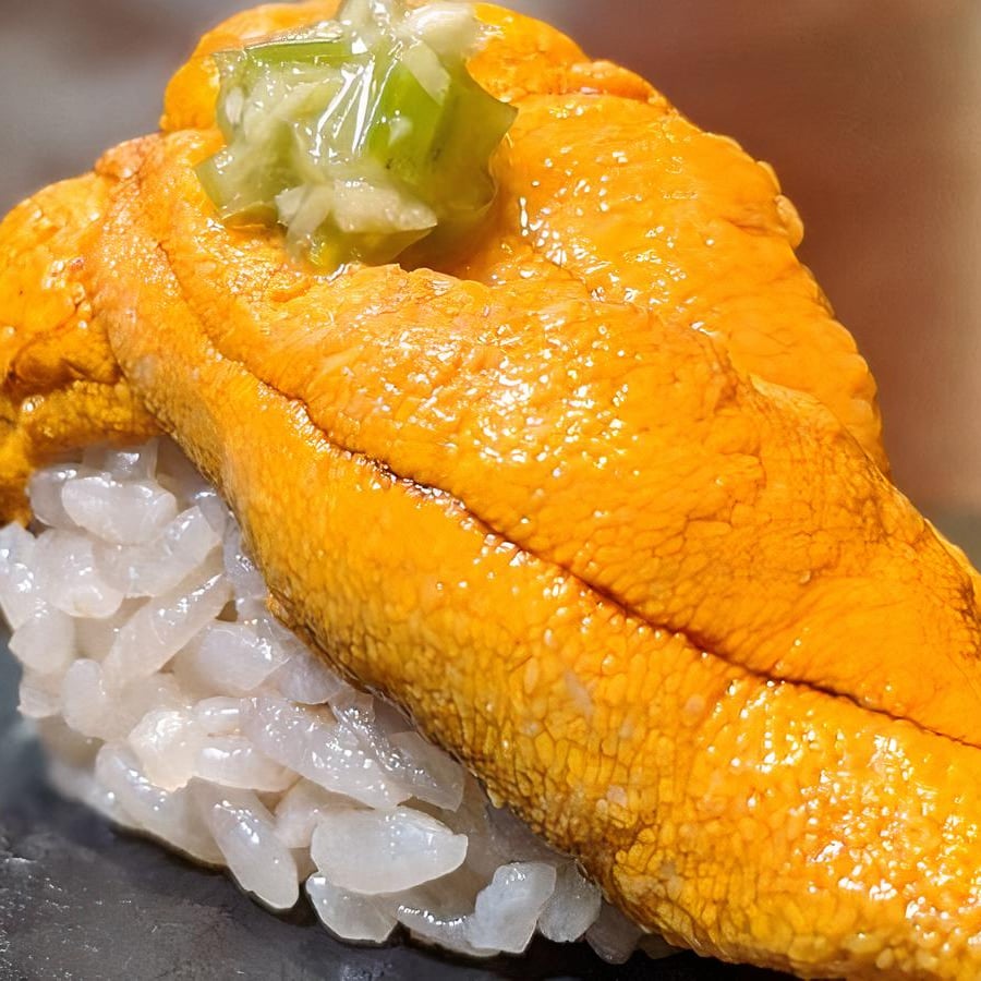 Sea Urchin (Santa Barbara Uni).