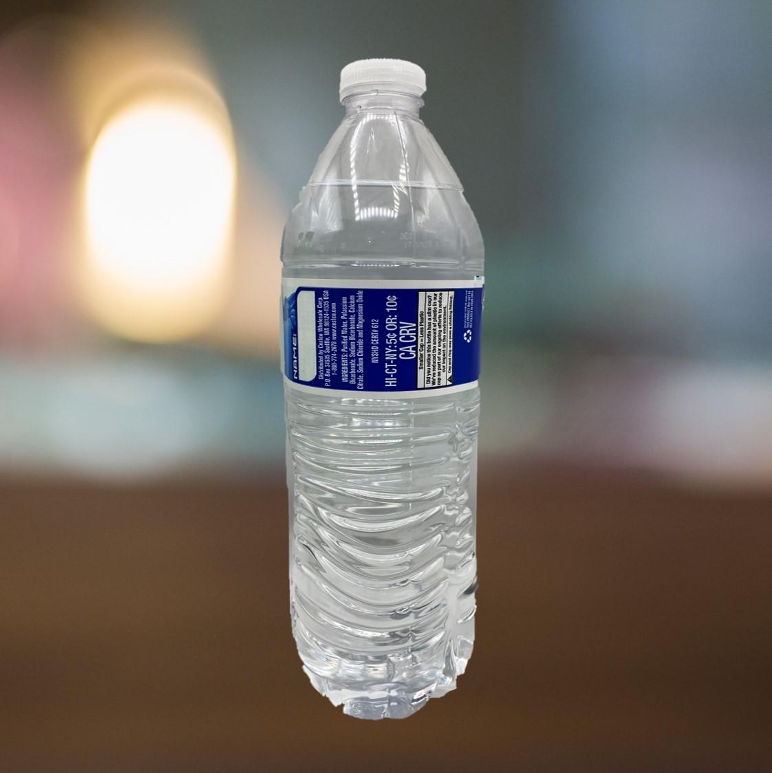 Bottled Water 16.9 oz.