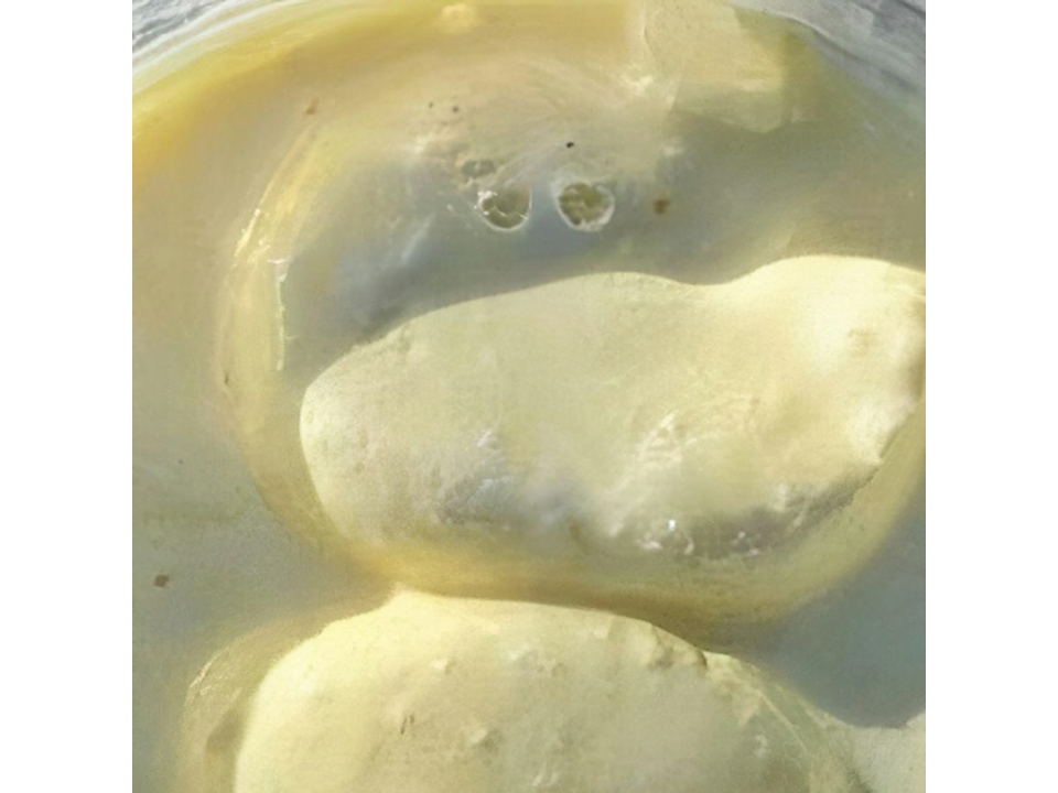 Rasmalai.