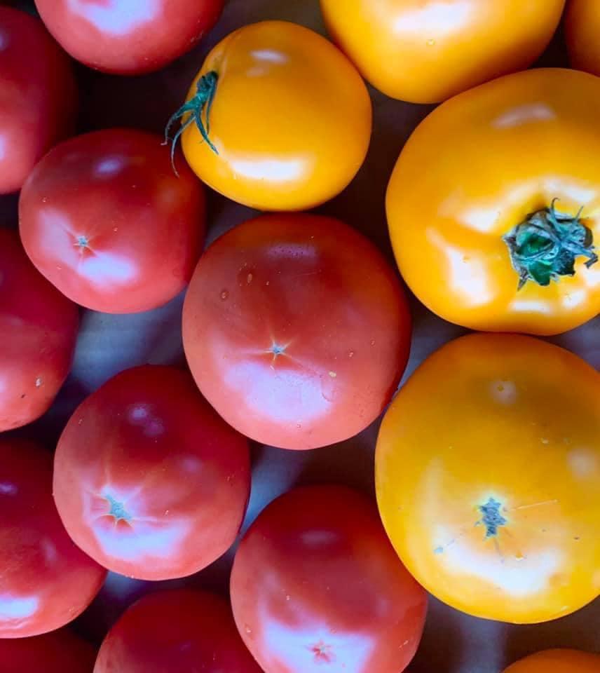 Caprese.