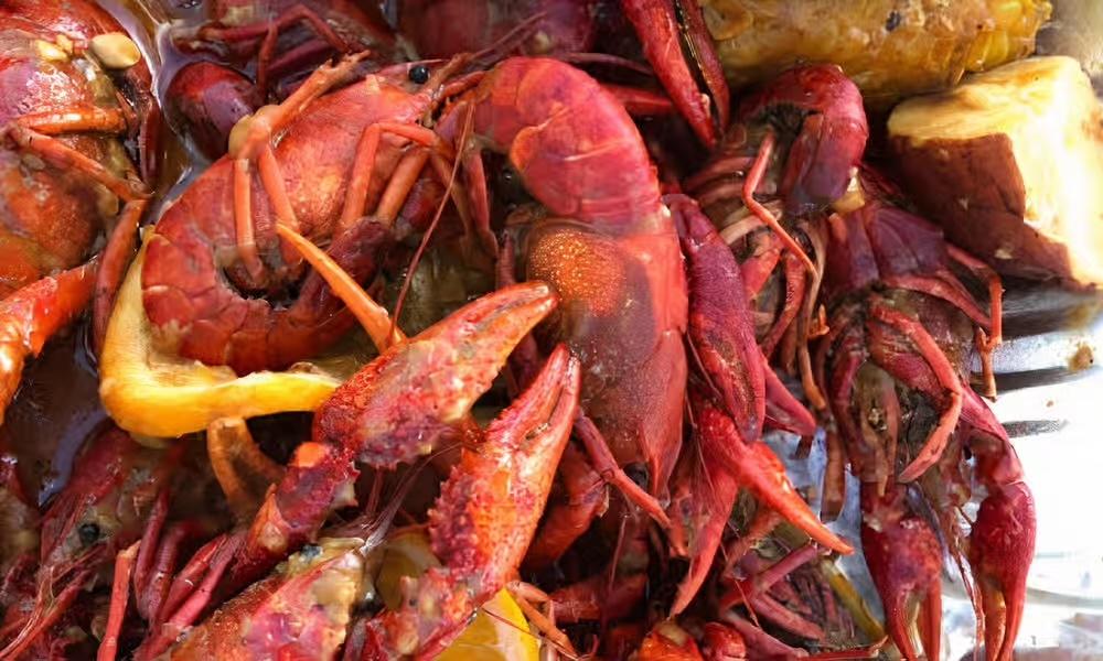 Crawfish.