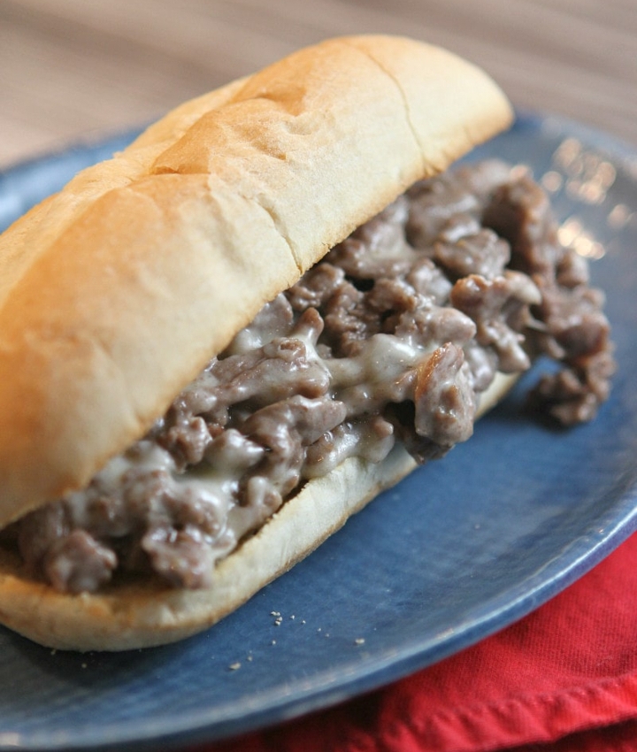 CHEESESTEAK SUB (Just Steak & Cheese).