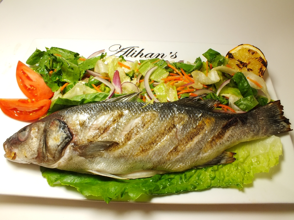 Sea Bass.
