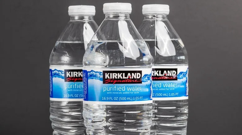 Bottled Water (500 ML).