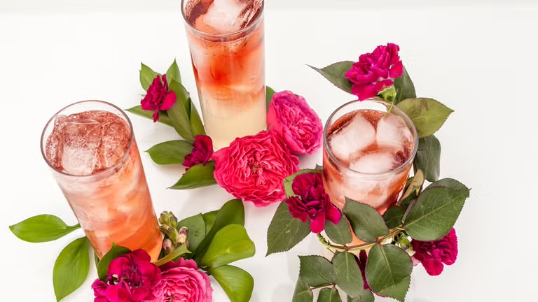 Dama Mocktail.