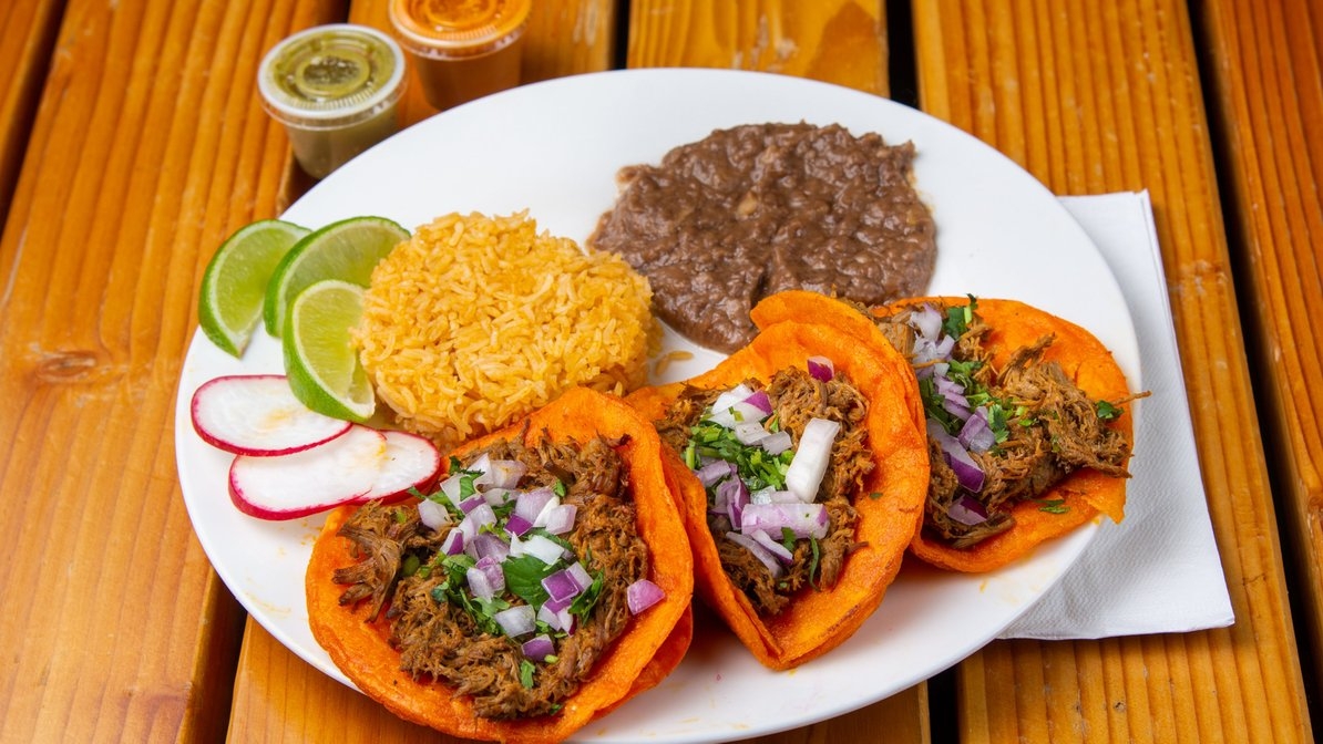 Dorado Birria Platter.