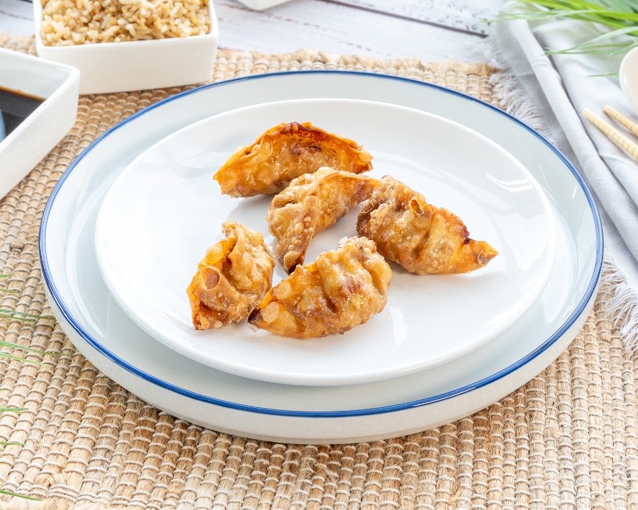 DUMPLINGS FRIED (5).