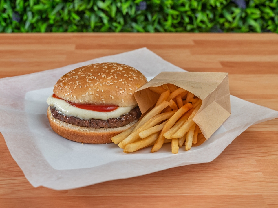 Cheese Burger plain with Fries.