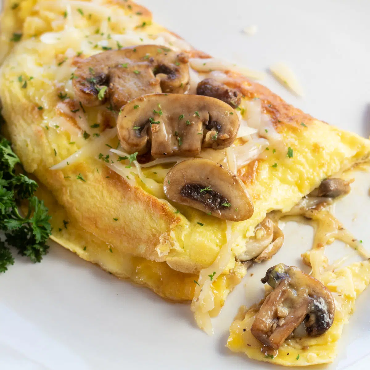 MUSHROOM & SWISS OMELETTE.