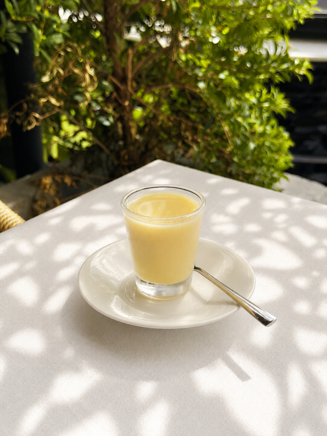 Fresh Ginger Shot.