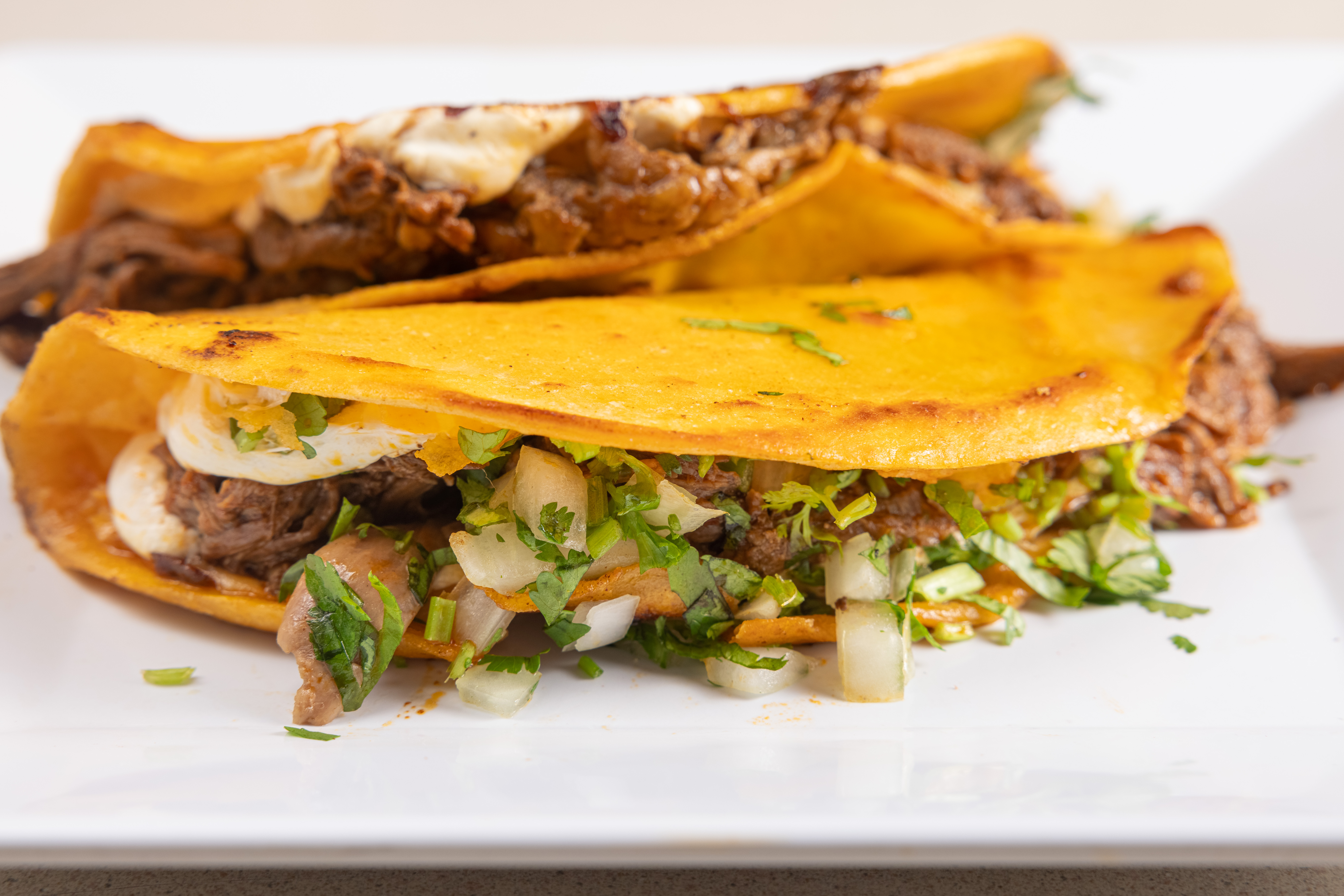 Quesadilla de Birria (1 Pc).