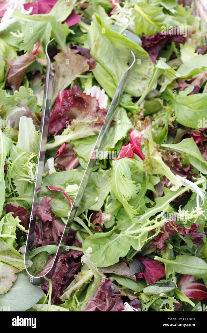 Organic Mixed Greens.