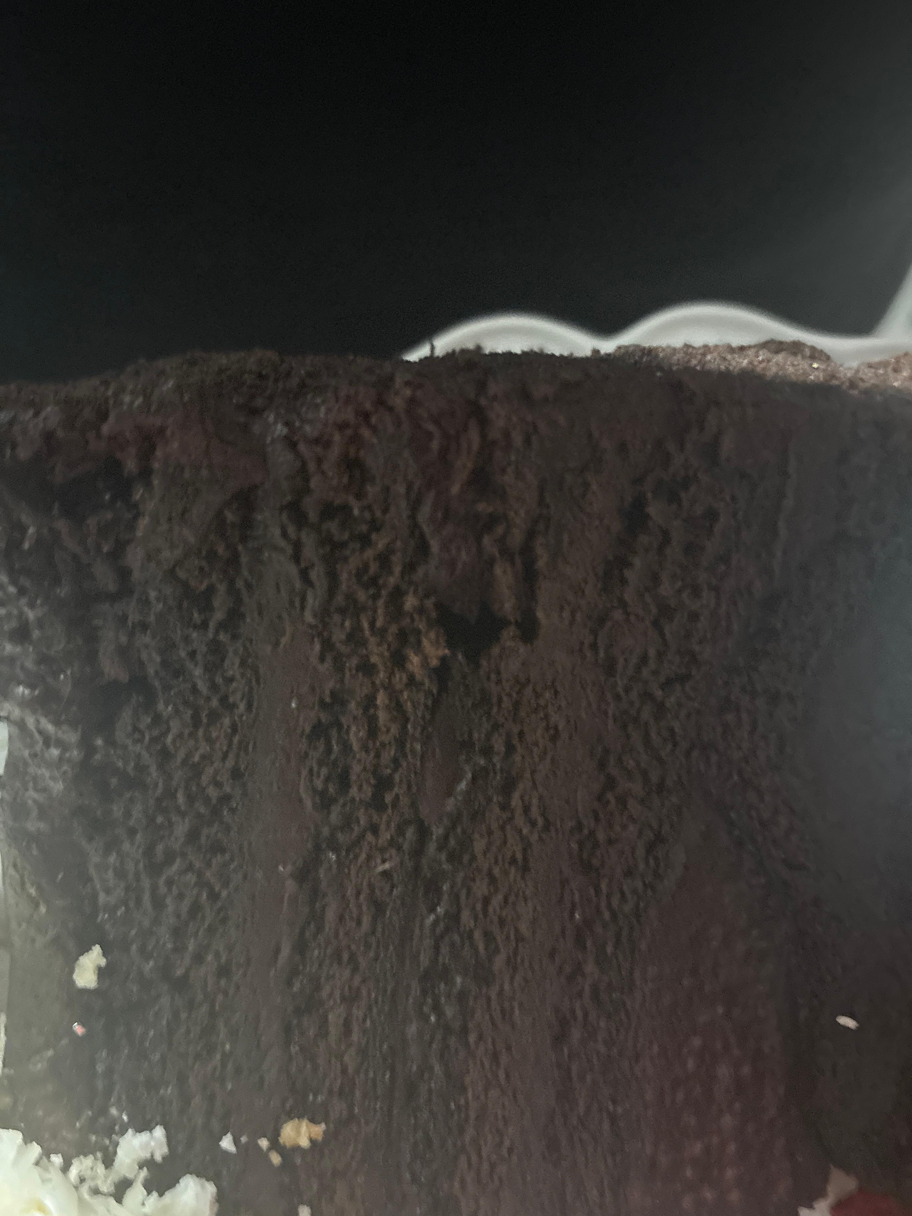 Chocolate Fudge Cake.