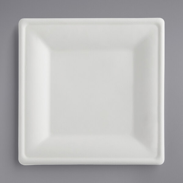 Plates (paper).