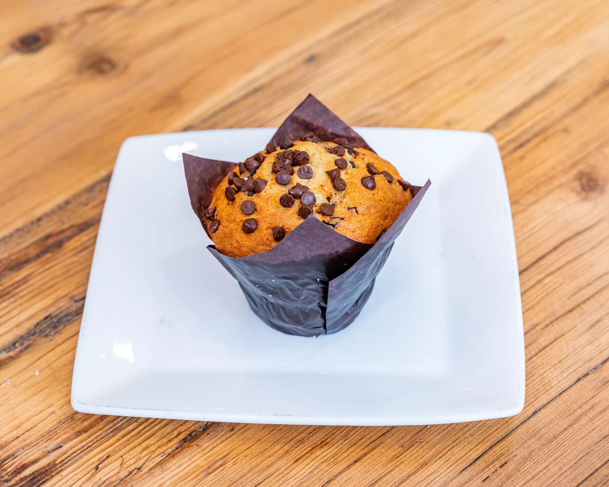 Chocolate Chip Muffin.