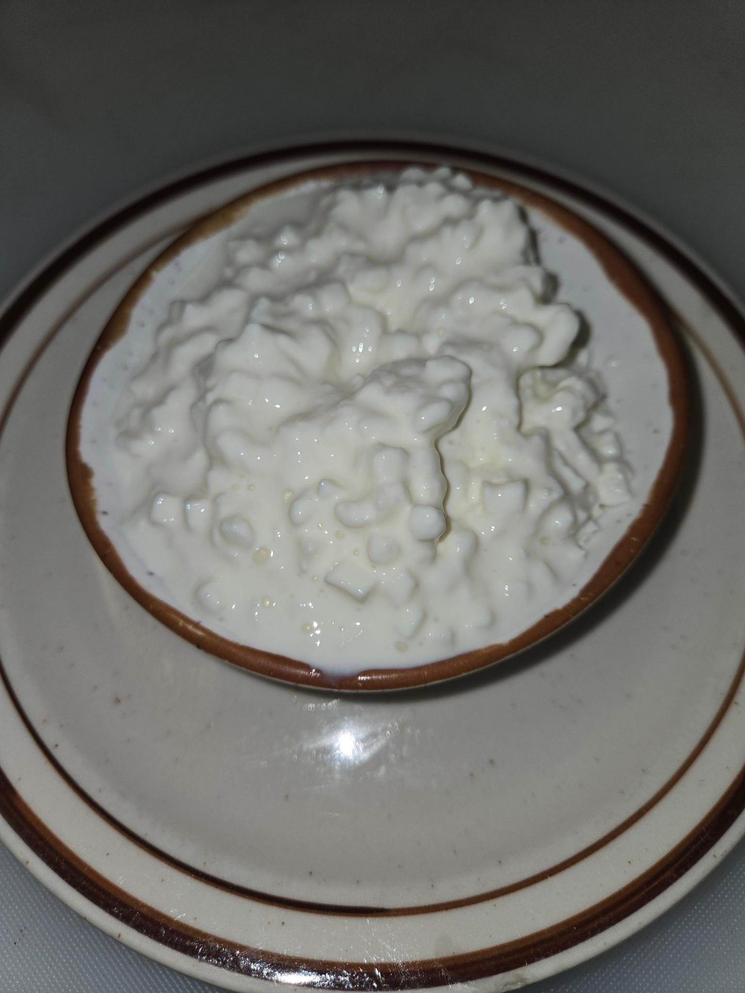 COTTAGE CHEESE.