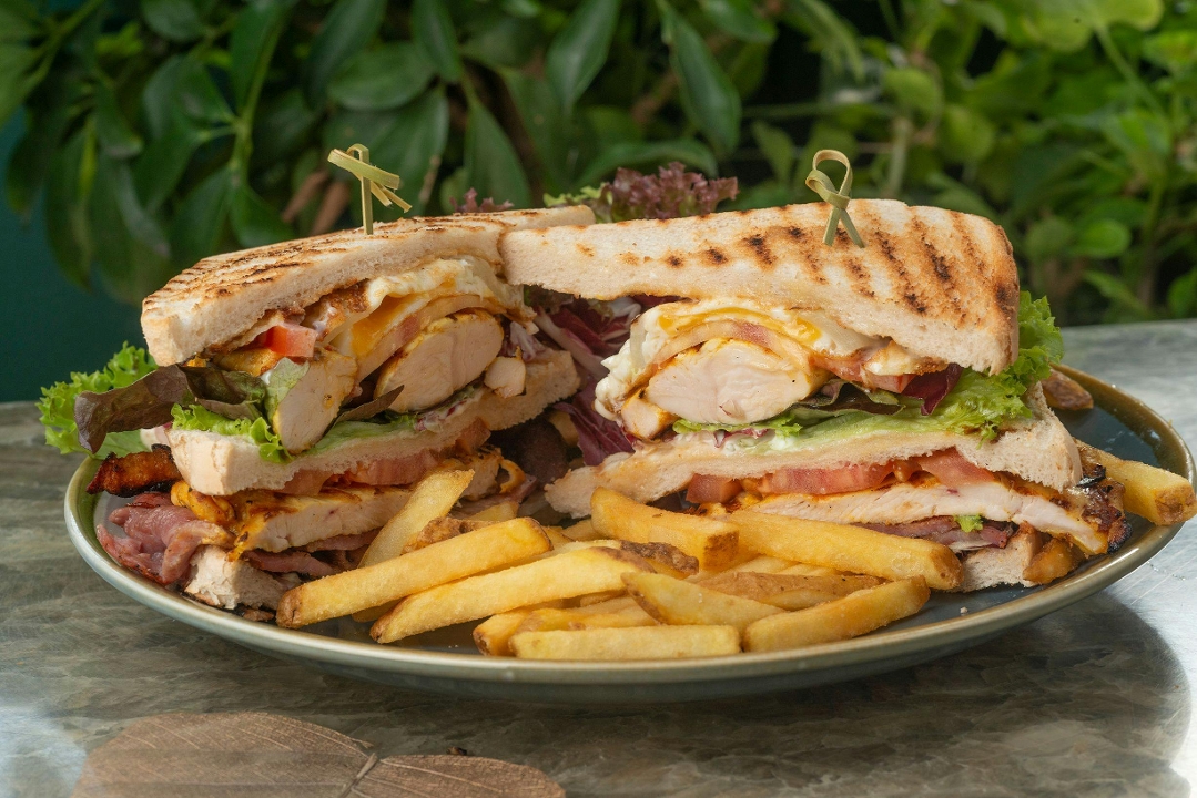Panini Avocado Sandwich.