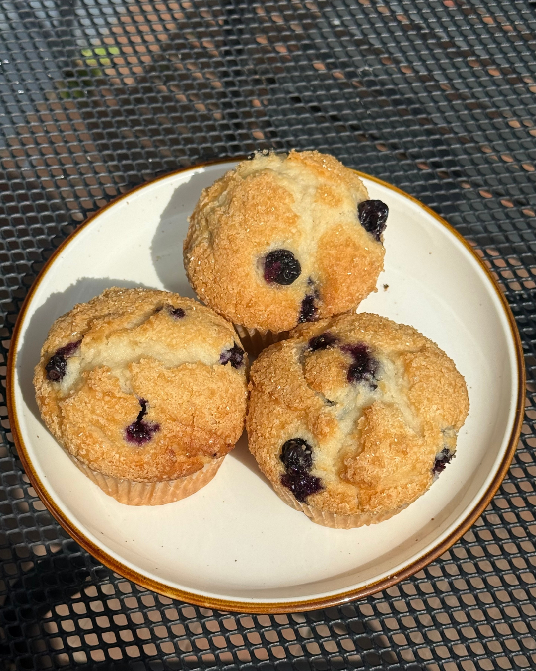 Blueberry Muffin.