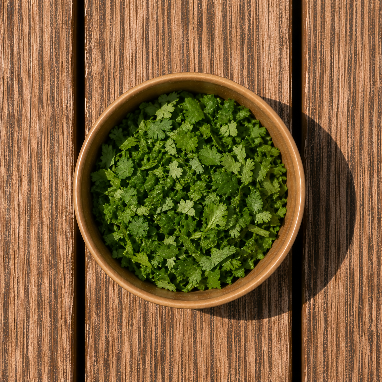 Cilantro.